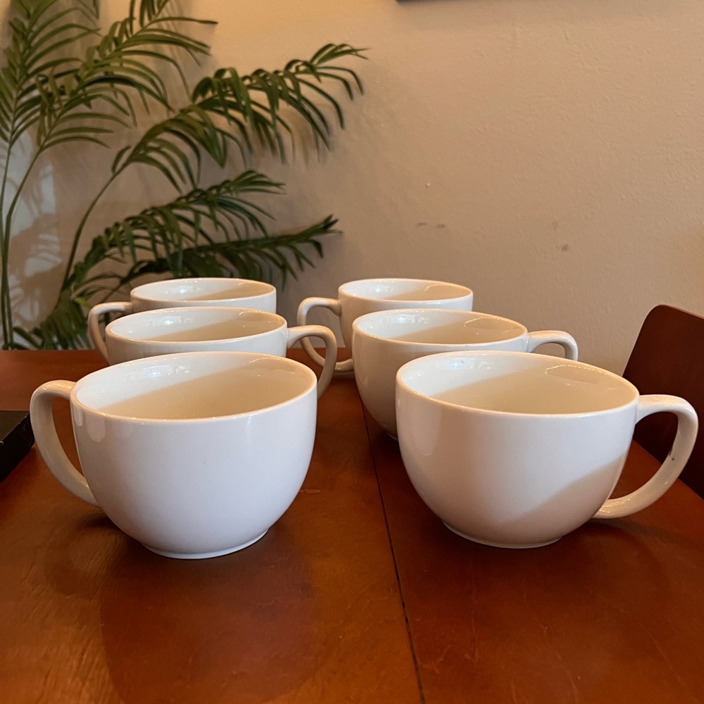 Set of 6 mugs! Brand new